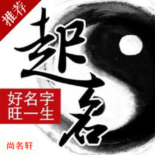 泰山宝宝起名