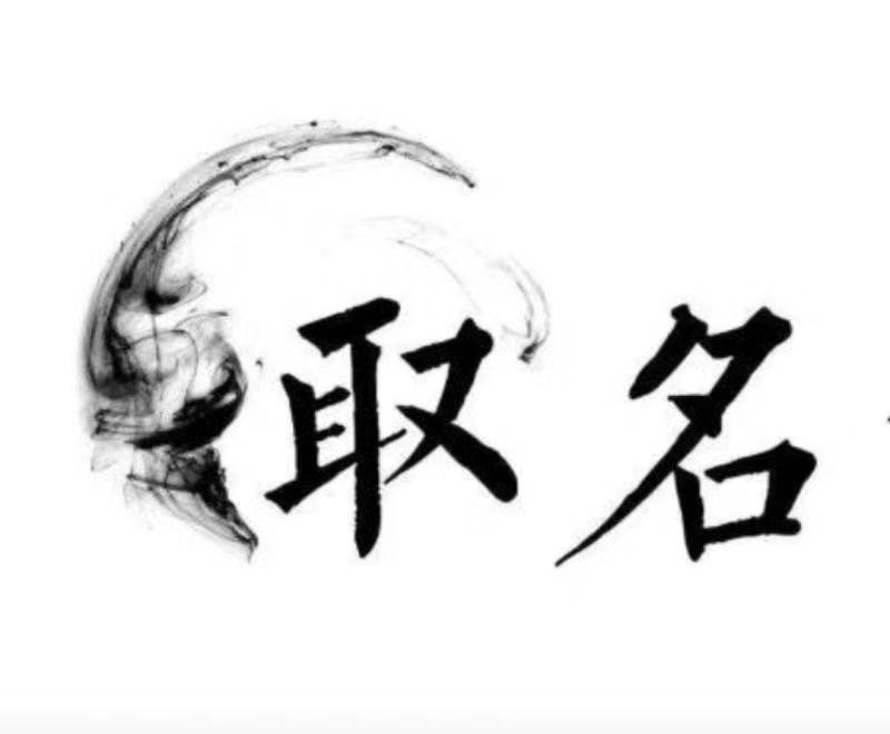  泰山宝宝取名 大师一对一人工起名