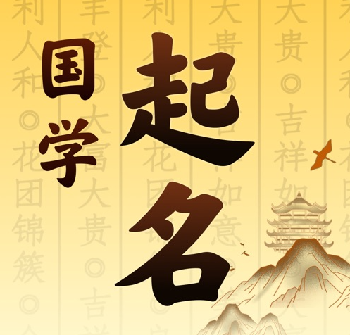 泰山国学起名 人工起名一对一